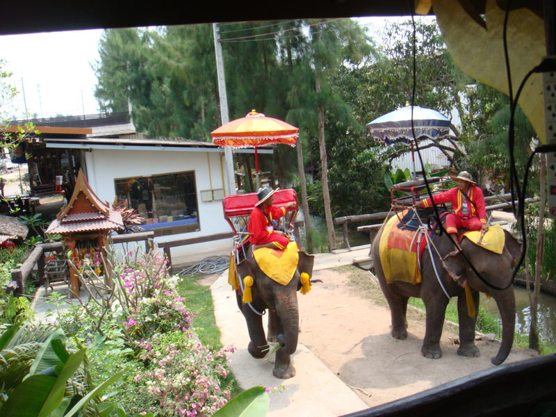 2014.3 曼谷 +皇家度假勝地華欣5日遊 - 第47張圖 2014.3 曼谷 +皇家度假勝地華欣5日遊
