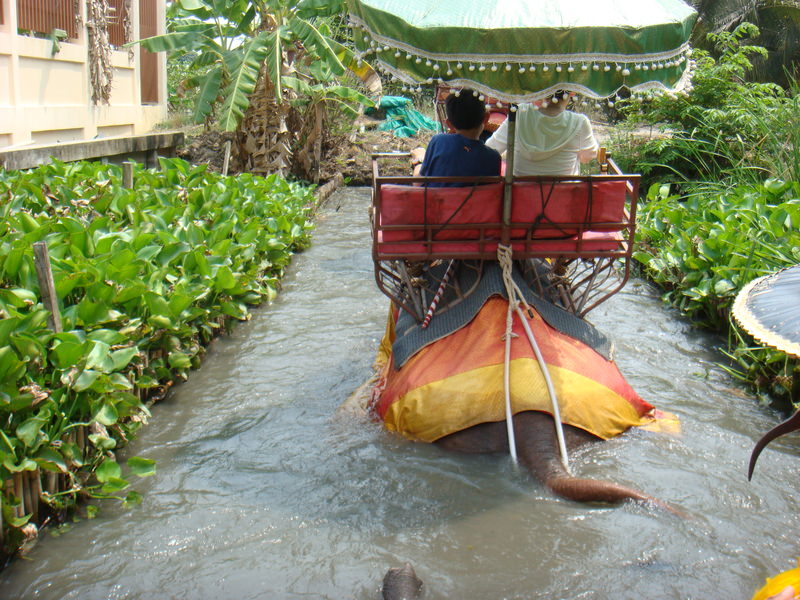 2014.3 曼谷 +皇家度假勝地華欣5日遊 - 第49張圖 2014.3 曼谷 +皇家度假勝地華欣5日遊