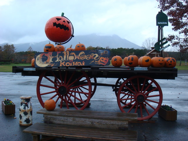 2009.11 日本東北 奧之細道 四日幸福小旅行~一場意外「雪」的邂逅 - 第6張圖 2009.11 日本東北 奧之細道 四日幸福小旅行~一場意外「雪」的邂逅