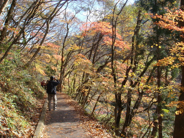 2009.11 日本東北 奧之細道 四日幸福小旅行~一場意外「雪」的邂逅 - 第11張圖 2009.11 日本東北 奧之細道 四日幸福小旅行~一場意外「雪」的邂逅