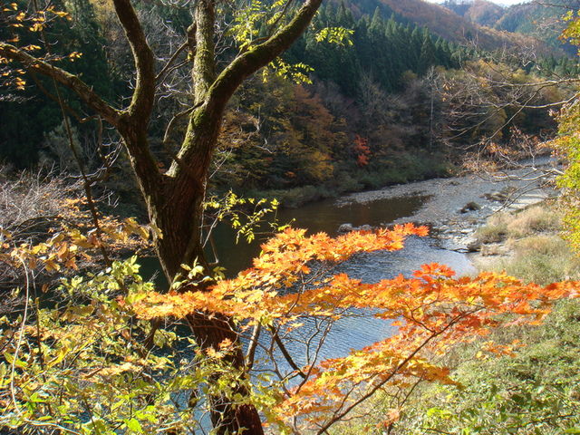 2009.11 日本東北 奧之細道 四日幸福小旅行~一場意外「雪」的邂逅 - 第12張圖 2009.11 日本東北 奧之細道 四日幸福小旅行~一場意外「雪」的邂逅