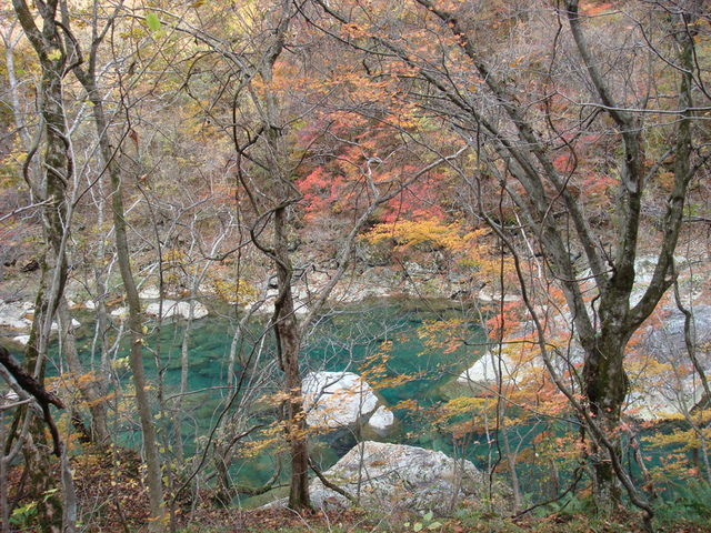 2009.11 日本東北 奧之細道 四日幸福小旅行~一場意外「雪」的邂逅 - 第14張圖 2009.11 日本東北 奧之細道 四日幸福小旅行~一場意外「雪」的邂逅