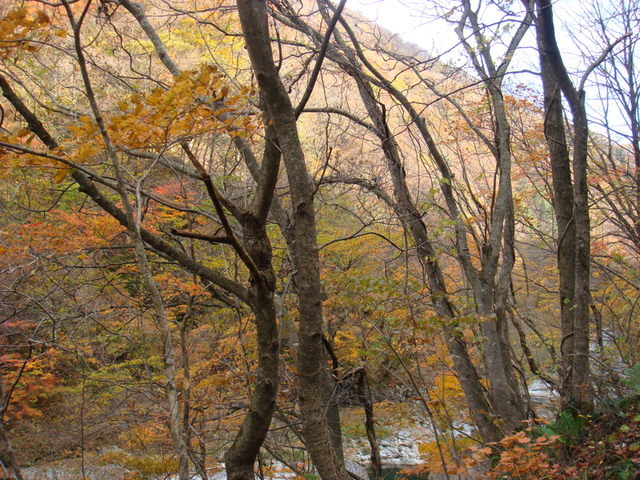 2009.11 日本東北 奧之細道 四日幸福小旅行~一場意外「雪」的邂逅 - 第15張圖 2009.11 日本東北 奧之細道 四日幸福小旅行~一場意外「雪」的邂逅