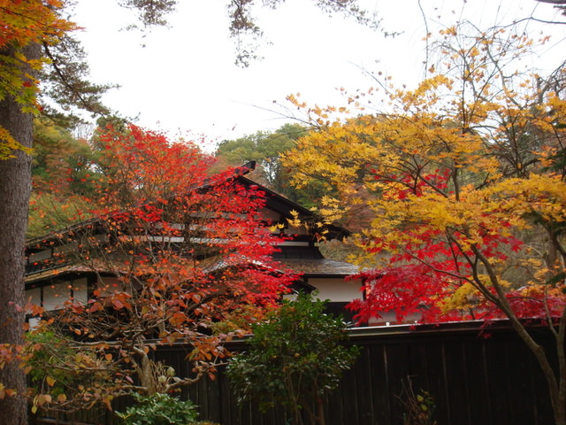 2009.11 日本東北 奧之細道 四日幸福小旅行~一場意外「雪」的邂逅 - 第21張圖 2009.11 日本東北 奧之細道 四日幸福小旅行~一場意外「雪」的邂逅