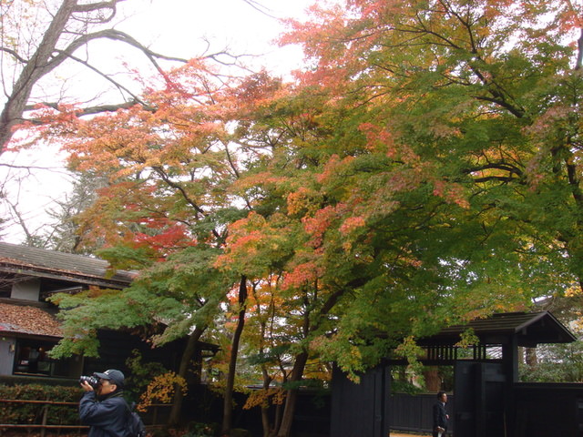 2009.11 日本東北 奧之細道 四日幸福小旅行~一場意外「雪」的邂逅 - 第24張圖 2009.11 日本東北 奧之細道 四日幸福小旅行~一場意外「雪」的邂逅