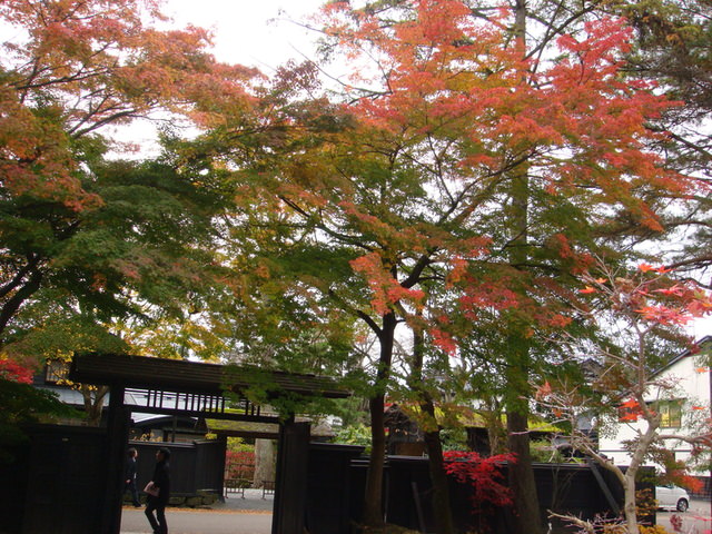 2009.11 日本東北 奧之細道 四日幸福小旅行~一場意外「雪」的邂逅 - 第26張圖 2009.11 日本東北 奧之細道 四日幸福小旅行~一場意外「雪」的邂逅