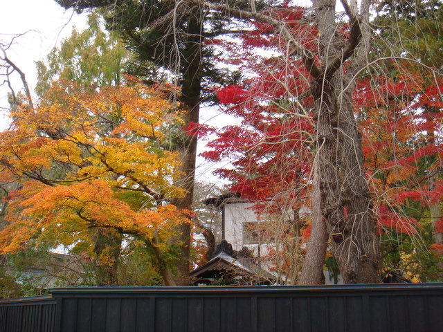 2009.11 日本東北 奧之細道 四日幸福小旅行~一場意外「雪」的邂逅 - 第28張圖 2009.11 日本東北 奧之細道 四日幸福小旅行~一場意外「雪」的邂逅