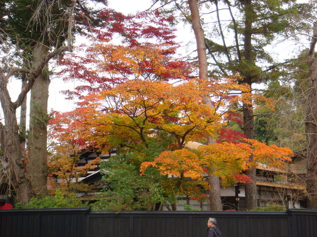 2009.11 日本東北 奧之細道 四日幸福小旅行~一場意外「雪」的邂逅 - 第29張圖 2009.11 日本東北 奧之細道 四日幸福小旅行~一場意外「雪」的邂逅