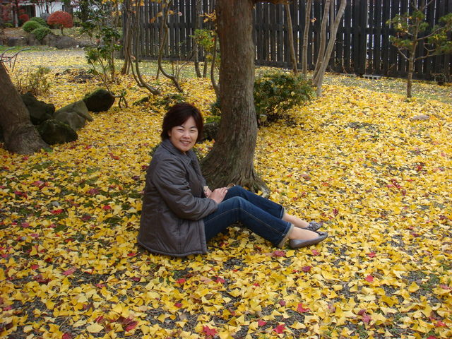 2009.11 日本東北 奧之細道 四日幸福小旅行~一場意外「雪」的邂逅 - 第34張圖 2009.11 日本東北 奧之細道 四日幸福小旅行~一場意外「雪」的邂逅