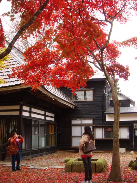 2009.11 日本東北 奧之細道 四日幸福小旅行~一場意外「雪」的邂逅 - 第35張圖 2009.11 日本東北 奧之細道 四日幸福小旅行~一場意外「雪」的邂逅