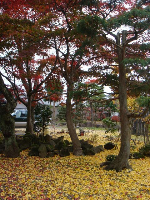 2009.11 日本東北 奧之細道 四日幸福小旅行~一場意外「雪」的邂逅 - 第36張圖 2009.11 日本東北 奧之細道 四日幸福小旅行~一場意外「雪」的邂逅