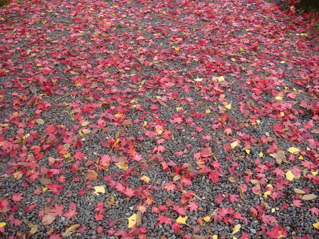 2009.11 日本東北 奧之細道 四日幸福小旅行~一場意外「雪」的邂逅 - 第37張圖 2009.11 日本東北 奧之細道 四日幸福小旅行~一場意外「雪」的邂逅