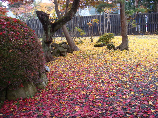 2009.11 日本東北 奧之細道 四日幸福小旅行~一場意外「雪」的邂逅 - 第38張圖 2009.11 日本東北 奧之細道 四日幸福小旅行~一場意外「雪」的邂逅