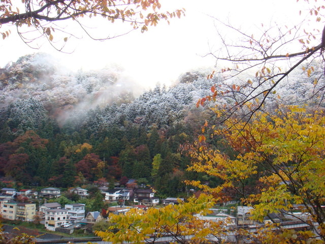 2009.11 日本東北 奧之細道 四日幸福小旅行~一場意外「雪」的邂逅 - 第49張圖 2009.11 日本東北 奧之細道 四日幸福小旅行~一場意外「雪」的邂逅