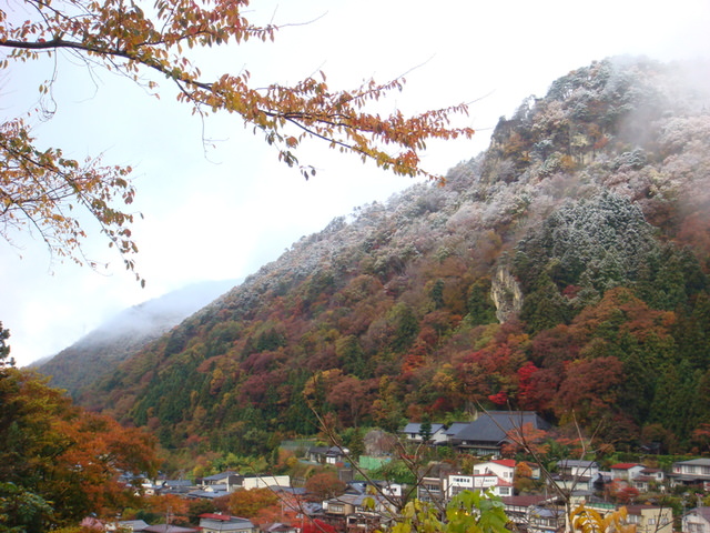 2009.11 日本東北 奧之細道 四日幸福小旅行~一場意外「雪」的邂逅 - 第51張圖 2009.11 日本東北 奧之細道 四日幸福小旅行~一場意外「雪」的邂逅