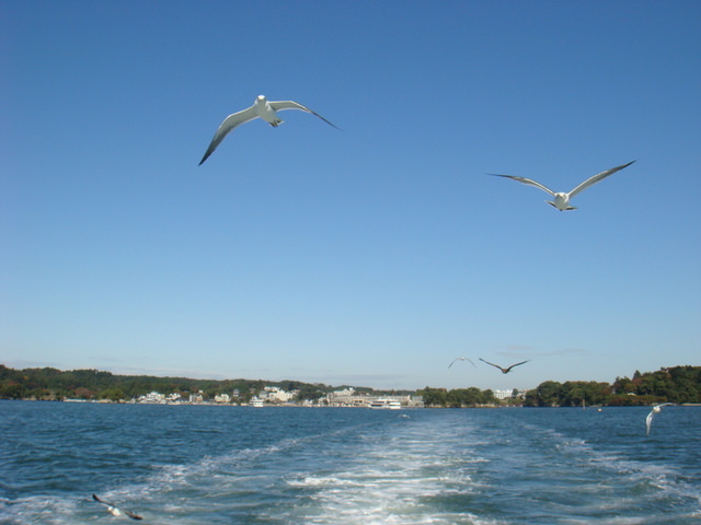 2009.11 日本東北 奧之細道 四日幸福小旅行~一場意外「雪」的邂逅 - 第70張圖 2009.11 日本東北 奧之細道 四日幸福小旅行~一場意外「雪」的邂逅
