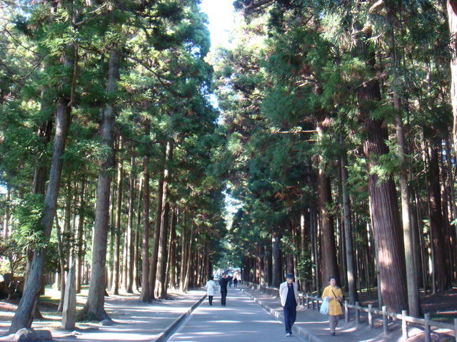 2009.11 日本東北 奧之細道 四日幸福小旅行~一場意外「雪」的邂逅 - 第81張圖 2009.11 日本東北 奧之細道 四日幸福小旅行~一場意外「雪」的邂逅