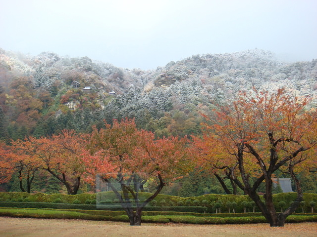 2009.11 日本東北 奧之細道 四日幸福小旅行~一場意外「雪」的邂逅 - 第53張圖 2009.11 日本東北 奧之細道 四日幸福小旅行~一場意外「雪」的邂逅