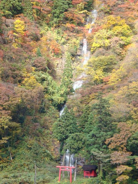 2009.11 日本東北 奧之細道 四日幸福小旅行~一場意外「雪」的邂逅 - 第61張圖 2009.11 日本東北 奧之細道 四日幸福小旅行~一場意外「雪」的邂逅