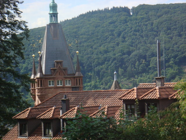 2011.06 德瑞~新天鵝堡.鐵力士山.米其林餐廳 10日遊(下) - 第79張圖 2011.06 德瑞~新天鵝堡.鐵力士山.米其林餐廳 10日遊(下)