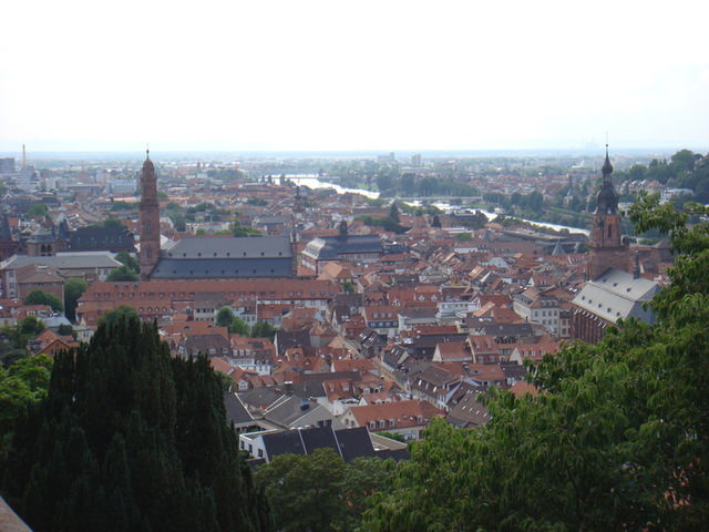 2011.06 德瑞~新天鵝堡.鐵力士山.米其林餐廳 10日遊(下) - 第88張圖 2011.06 德瑞~新天鵝堡.鐵力士山.米其林餐廳 10日遊(下)