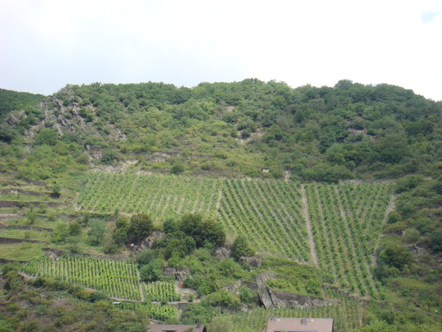 2011.06 德瑞~新天鵝堡.鐵力士山.米其林餐廳 10日遊(下) - 第105張圖 2011.06 德瑞~新天鵝堡.鐵力士山.米其林餐廳 10日遊(下)