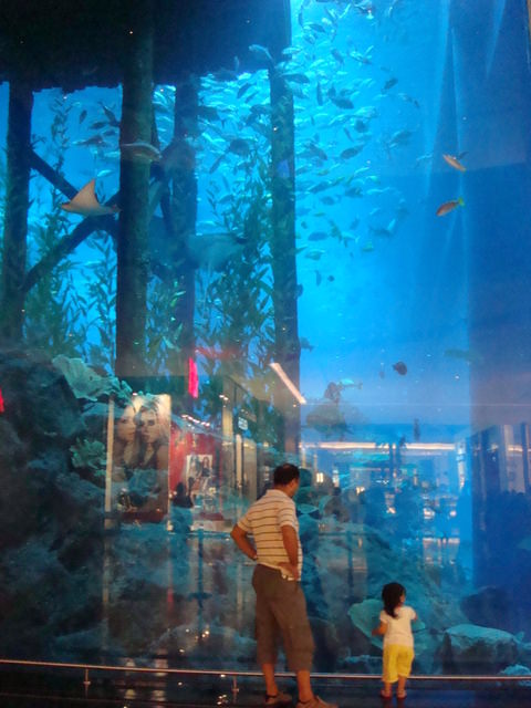 2010.07 前進杜拜七星帆船飯店七日遊 - 第153張圖 2010.07 前進杜拜七星帆船飯店七日遊