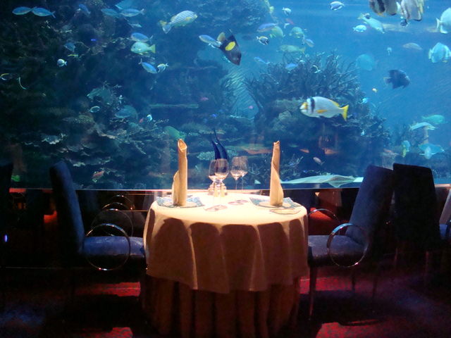 2010.07 前進杜拜七星帆船飯店七日遊 - 第239張圖 2010.07 前進杜拜七星帆船飯店七日遊