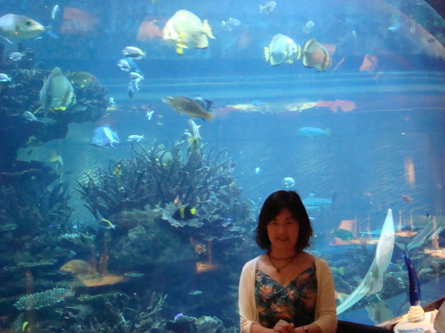 2010.07 前進杜拜七星帆船飯店七日遊 - 第244張圖 2010.07 前進杜拜七星帆船飯店七日遊