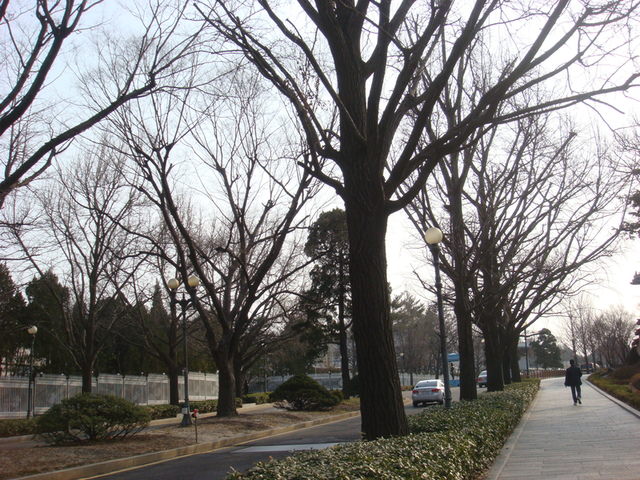 2013.3 韓國首爾五日 - 第168張圖 2013.3 韓國首爾五日