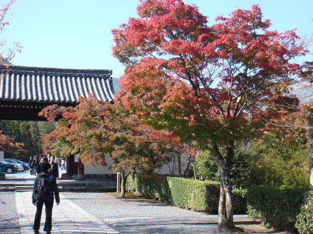 2010.11 日本關西賞楓行~嵐山渡月橋+清水寺+奈良公園 5日遊 - 第43張圖 2010.11 日本關西賞楓行~嵐山渡月橋+清水寺+奈良公園 5日遊