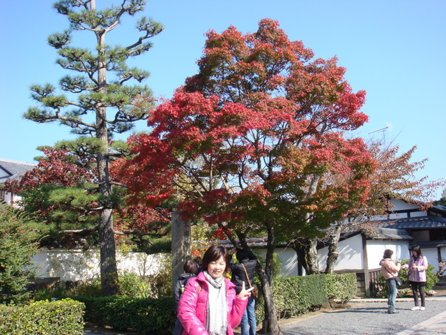 2010.11 日本關西賞楓行~嵐山渡月橋+清水寺+奈良公園 5日遊 - 第44張圖 2010.11 日本關西賞楓行~嵐山渡月橋+清水寺+奈良公園 5日遊