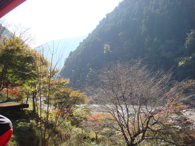2010.11 日本關西賞楓行~嵐山渡月橋+清水寺+奈良公園 5日遊 - 第31張圖 2010.11 日本關西賞楓行~嵐山渡月橋+清水寺+奈良公園 5日遊