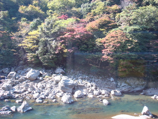 2010.11 日本關西賞楓行~嵐山渡月橋+清水寺+奈良公園 5日遊 - 第32張圖 2010.11 日本關西賞楓行~嵐山渡月橋+清水寺+奈良公園 5日遊