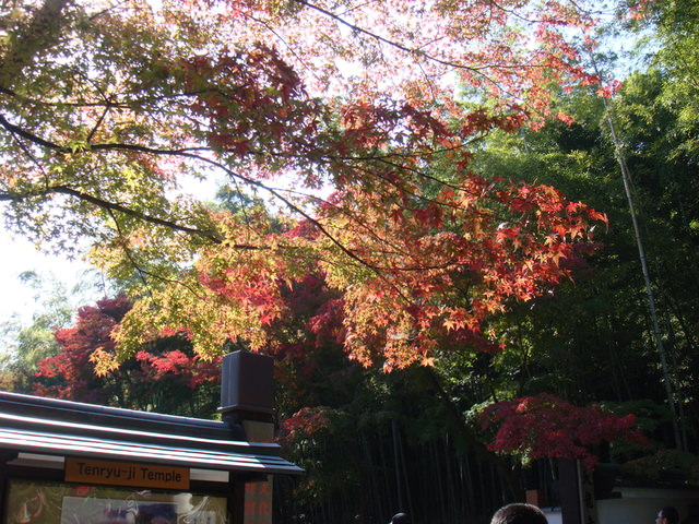 2010.11 日本關西賞楓行~嵐山渡月橋+清水寺+奈良公園 5日遊 - 第38張圖 2010.11 日本關西賞楓行~嵐山渡月橋+清水寺+奈良公園 5日遊