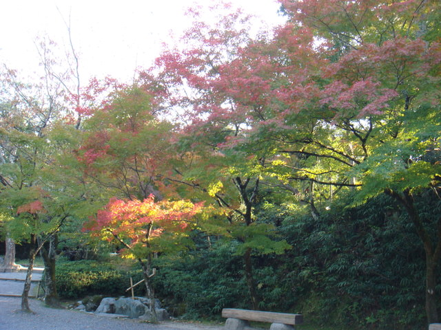 2010.11 日本關西賞楓行~嵐山渡月橋+清水寺+奈良公園 5日遊 - 第62張圖 2010.11 日本關西賞楓行~嵐山渡月橋+清水寺+奈良公園 5日遊