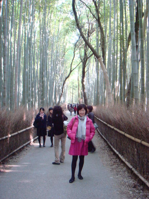 2010.11 日本關西賞楓行~嵐山渡月橋+清水寺+奈良公園 5日遊 - 第36張圖 2010.11 日本關西賞楓行~嵐山渡月橋+清水寺+奈良公園 5日遊