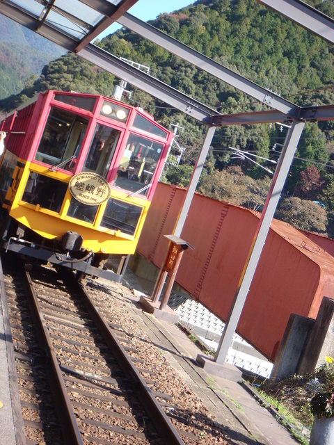 2010.11 日本關西賞楓行~嵐山渡月橋+清水寺+奈良公園 5日遊 - 第29張圖 2010.11 日本關西賞楓行~嵐山渡月橋+清水寺+奈良公園 5日遊