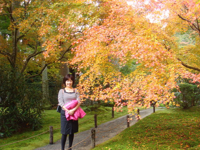 2010.11 日本關西賞楓行~嵐山渡月橋+清水寺+奈良公園 5日遊 - 第94張圖 2010.11 日本關西賞楓行~嵐山渡月橋+清水寺+奈良公園 5日遊