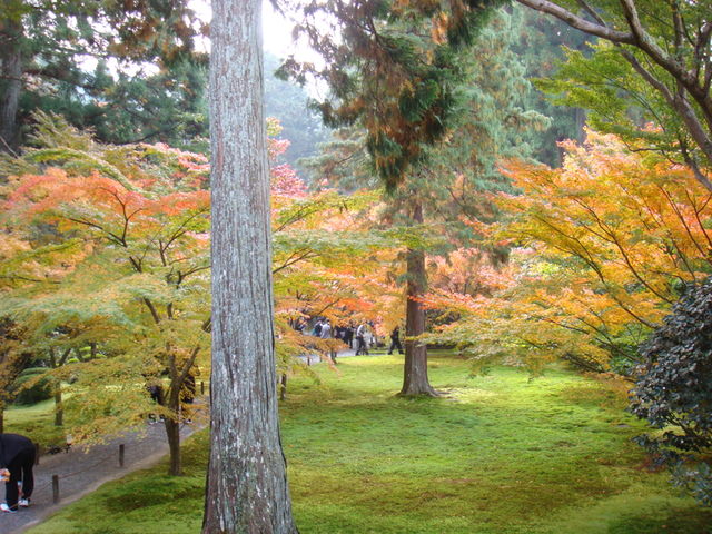 2010.11 日本關西賞楓行~嵐山渡月橋+清水寺+奈良公園 5日遊 - 第89張圖 2010.11 日本關西賞楓行~嵐山渡月橋+清水寺+奈良公園 5日遊