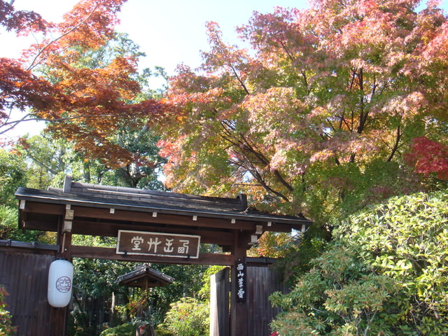 2010.11 日本關西賞楓行~嵐山渡月橋+清水寺+奈良公園 5日遊 - 第47張圖 2010.11 日本關西賞楓行~嵐山渡月橋+清水寺+奈良公園 5日遊