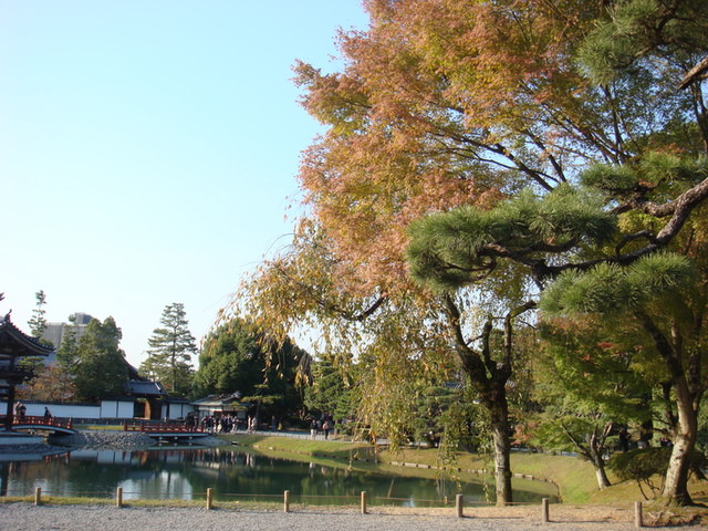 2010.11 日本關西賞楓行~嵐山渡月橋+清水寺+奈良公園 5日遊 - 第64張圖 2010.11 日本關西賞楓行~嵐山渡月橋+清水寺+奈良公園 5日遊
