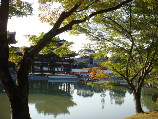 2010.11 日本關西賞楓行~嵐山渡月橋+清水寺+奈良公園 5日遊 - 第65張圖 2010.11 日本關西賞楓行~嵐山渡月橋+清水寺+奈良公園 5日遊