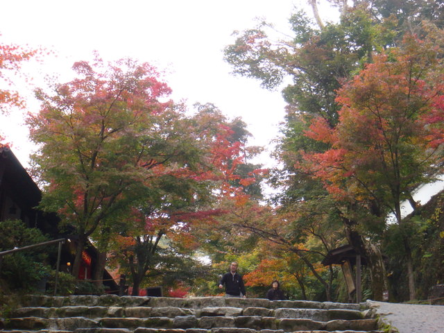2010.11 日本關西賞楓行~嵐山渡月橋+清水寺+奈良公園 5日遊 - 第86張圖 2010.11 日本關西賞楓行~嵐山渡月橋+清水寺+奈良公園 5日遊