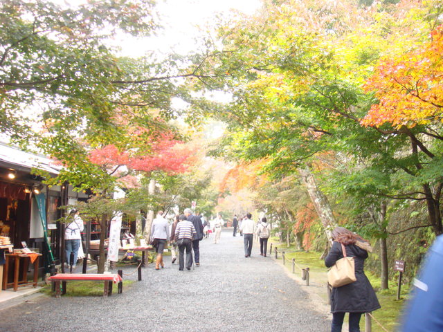 2010.11 日本關西賞楓行~嵐山渡月橋+清水寺+奈良公園 5日遊 - 第87張圖 2010.11 日本關西賞楓行~嵐山渡月橋+清水寺+奈良公園 5日遊