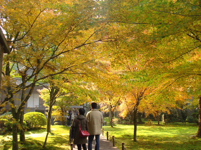 2010.11 日本關西賞楓行~嵐山渡月橋+清水寺+奈良公園 5日遊 - 第91張圖 2010.11 日本關西賞楓行~嵐山渡月橋+清水寺+奈良公園 5日遊