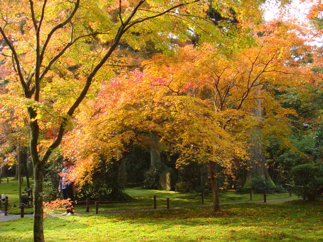 2010.11 日本關西賞楓行~嵐山渡月橋+清水寺+奈良公園 5日遊 - 第93張圖 2010.11 日本關西賞楓行~嵐山渡月橋+清水寺+奈良公園 5日遊