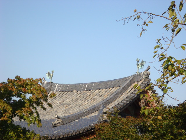 2010.11 日本關西賞楓行~嵐山渡月橋+清水寺+奈良公園 5日遊 - 第60張圖 2010.11 日本關西賞楓行~嵐山渡月橋+清水寺+奈良公園 5日遊