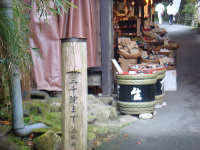 2010.11 日本關西賞楓行~嵐山渡月橋+清水寺+奈良公園 5日遊 - 第85張圖 2010.11 日本關西賞楓行~嵐山渡月橋+清水寺+奈良公園 5日遊