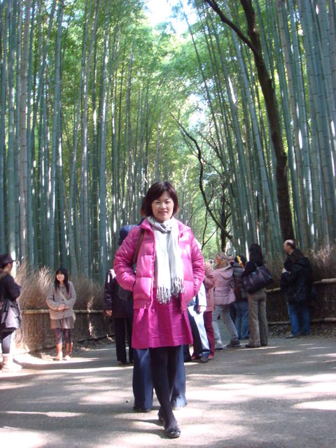 2010.11 日本關西賞楓行~嵐山渡月橋+清水寺+奈良公園 5日遊 - 第35張圖 2010.11 日本關西賞楓行~嵐山渡月橋+清水寺+奈良公園 5日遊